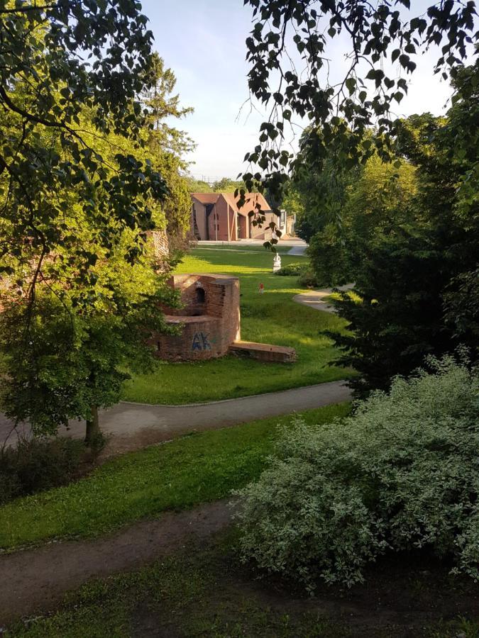 Wygodne Mieszkanko * Allenstein